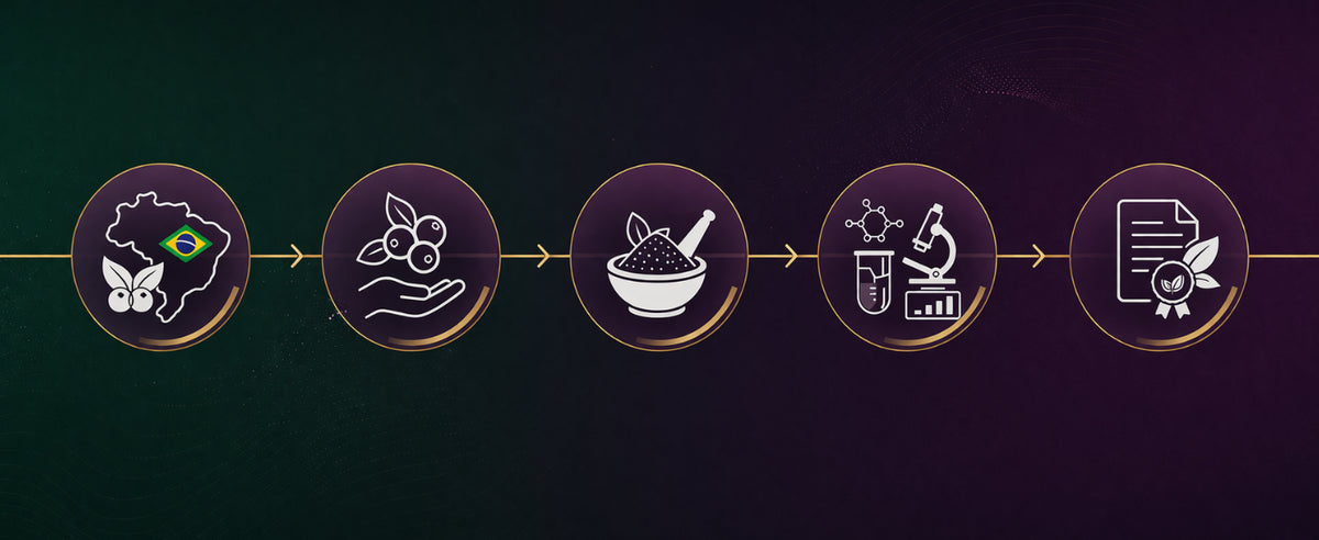 Del origen en Brasil a tu bolsa: cosecha, liofilizado, análisis y certificación del açaí en polvo ecológico