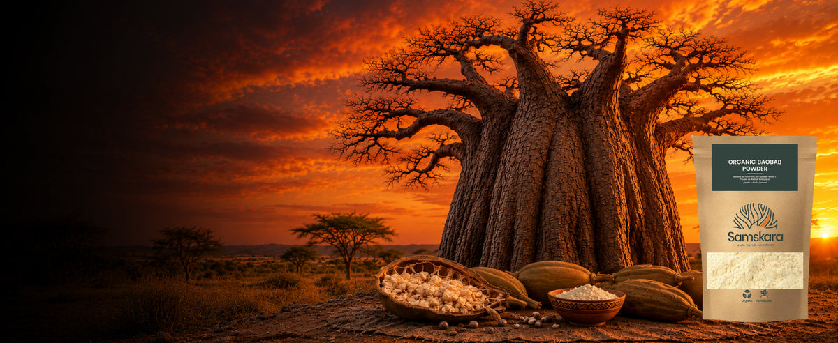 Árbol baobab al atardecer, origen del baobab en polvo ecológico Samskara