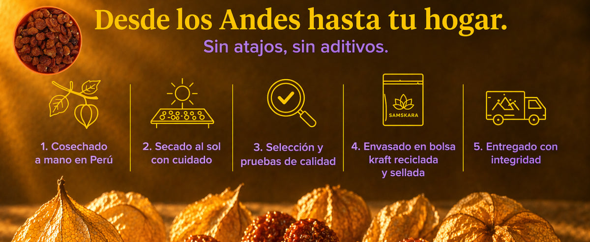 Bayas de Inca desde los Andes hasta tu hogar: cosechadas a mano en Perú, secadas al sol, seleccionadas y envasadas en bolsa kraft reciclada