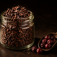 Nibs de Cacao Crudo BIO | Da un Crunch de Chocolate Puro a tus Bowls | Con Magnesio y Hierro Naturales | Samskara