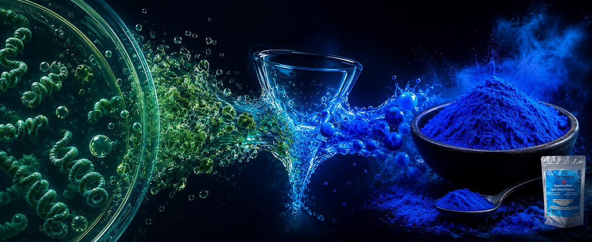 Diferencia entre espirulina verde y espirulina azul: la ficocianina, pigmento azul extraído de la espirulina