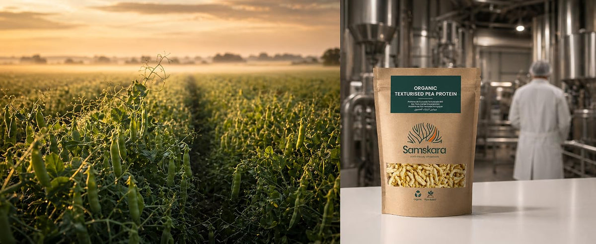 Campo de guisantes ecológicos europeos y proteína de guisante texturizada envasada