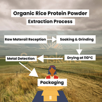 Proteína de Arroz Integral BIO - 500g
