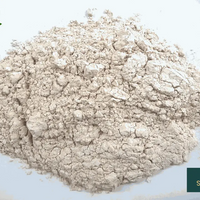 Shatavari Pulver BIO - 150g