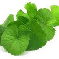 Brahmi en Polvo BIO - 100g