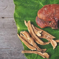 Reishi en Polvo BIO - 100g