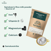 Leche de Arroz en Polvo BIO - 500g