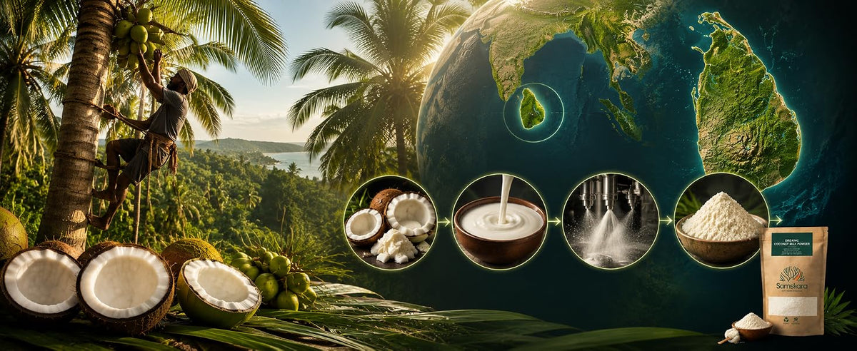 Cocos de Sri Lanka prensados y secados por atomización para hacer leche de coco en polvo