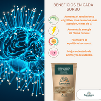 Melena de León en Polvo BIO | Prepara Cafés y Elixires de Seta | 100 % Hericium Erinaceus Molido | Samskara