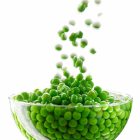 Organic Fermented Pea Protein - 1kg