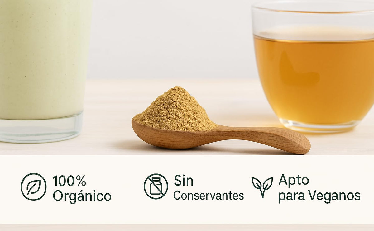 Shatavari en polvo 100% orgánico, sin conservantes y apto para veganos, con batido e infusión