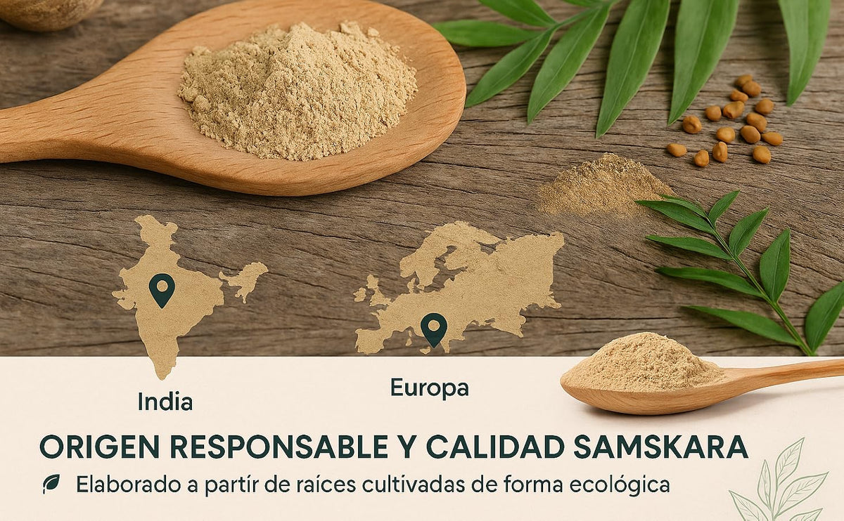 Shatavari en polvo ecológico Samskara: raíces cultivadas de forma ecológica, origen India y Europa