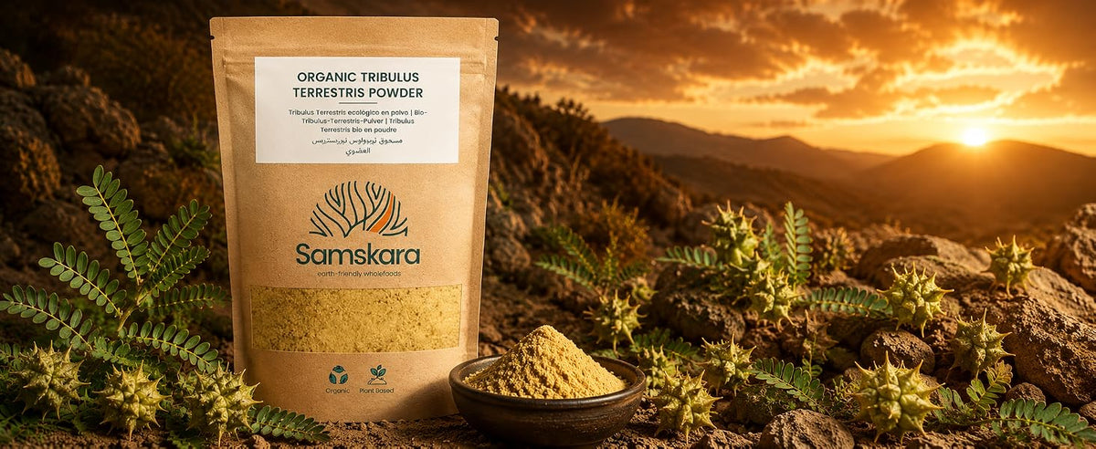 Tribulus terrestris BIO en polvo Samskara, gokshura de la tradición ayurvédica