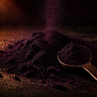 Açaí Liofilizado en Polvo BIO | Prepara Bowls al Estilo Amazónico | 100 % Baya Pura Liofilizada | Samskara