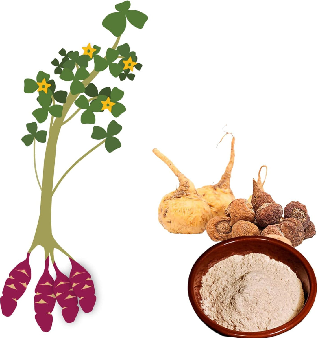 Organic Maca Powder - 250g
