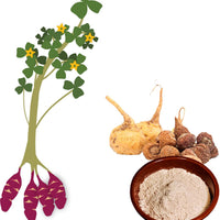 Organic Maca Powder - 250g