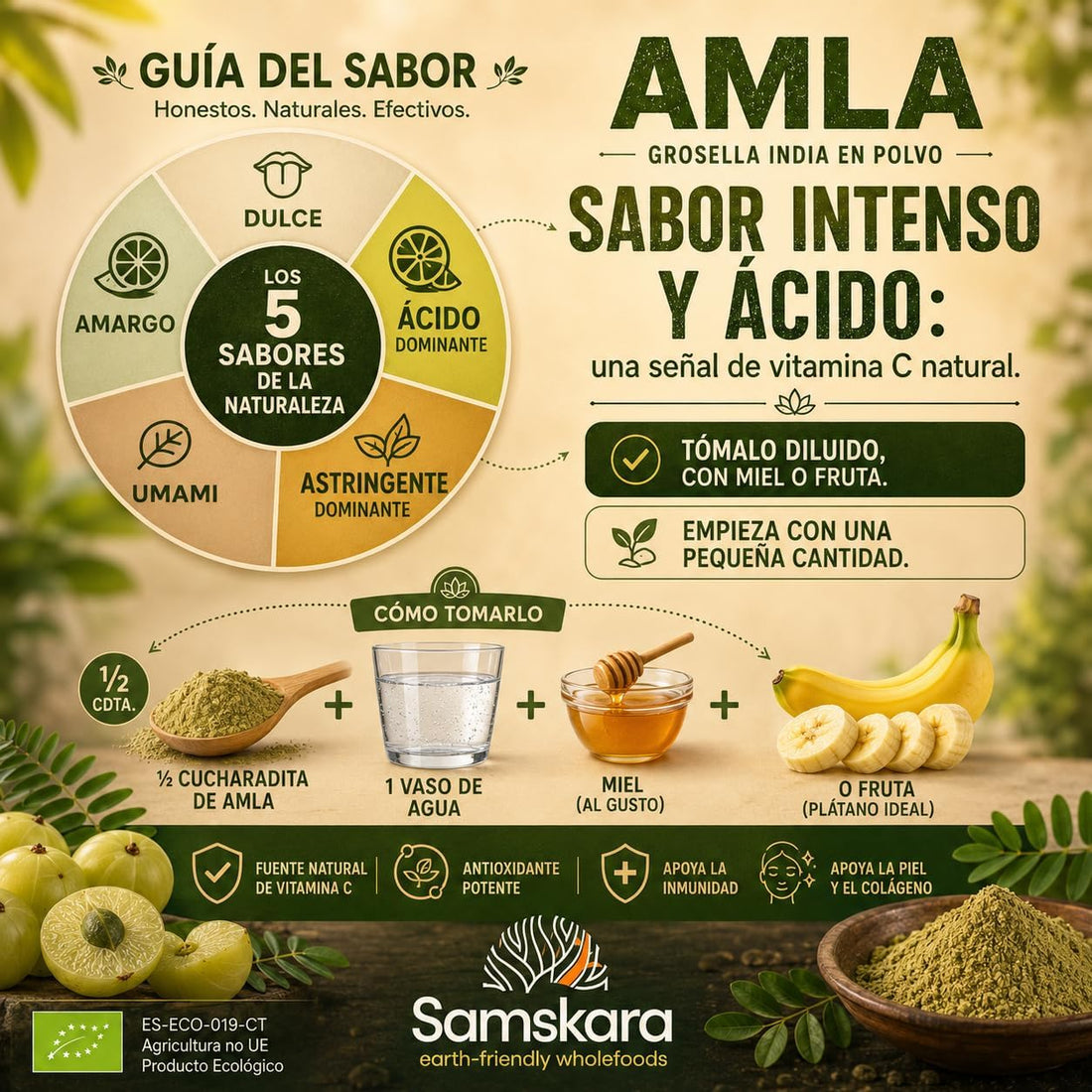 Organic Amla (Indian Gooseberry) Powder - 250g