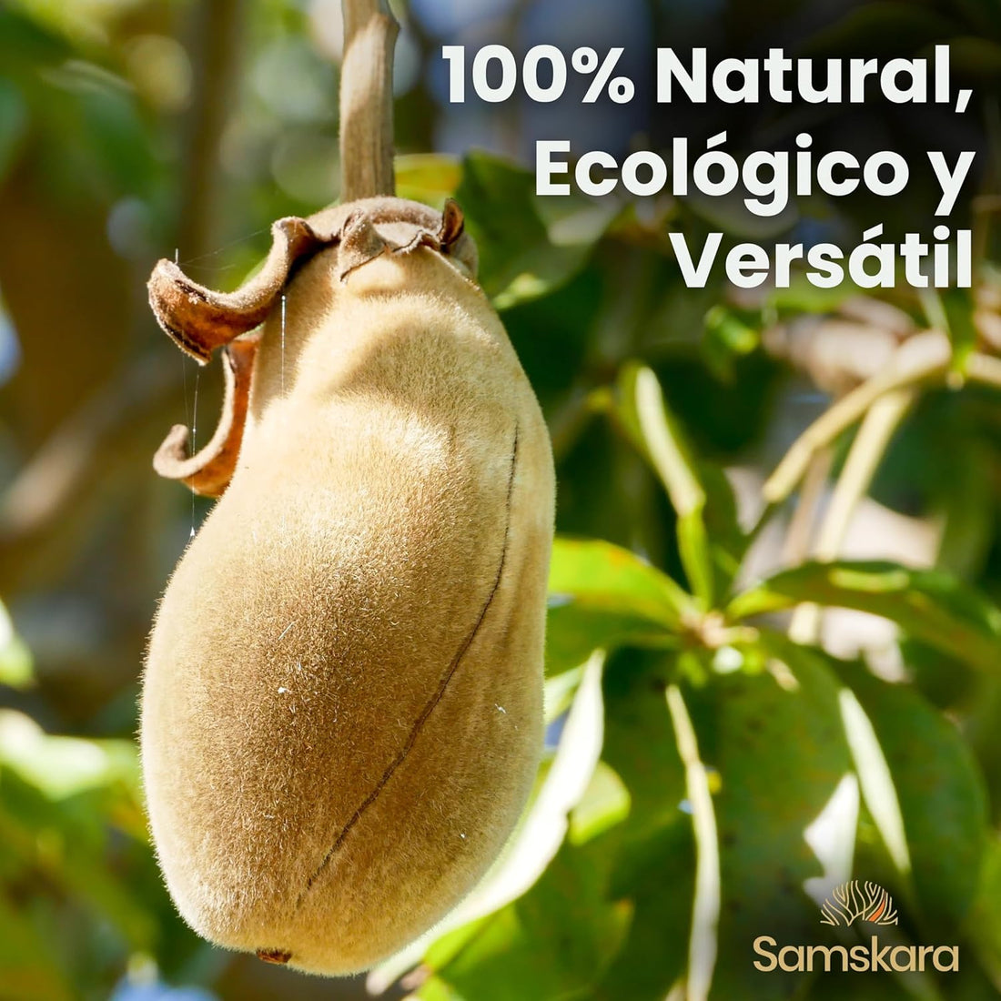Baobab en Polvo BIO | Aporta un Toque Cítrico y Fibra a tus Bebidas | Superfruto Africano Natural | Samskara