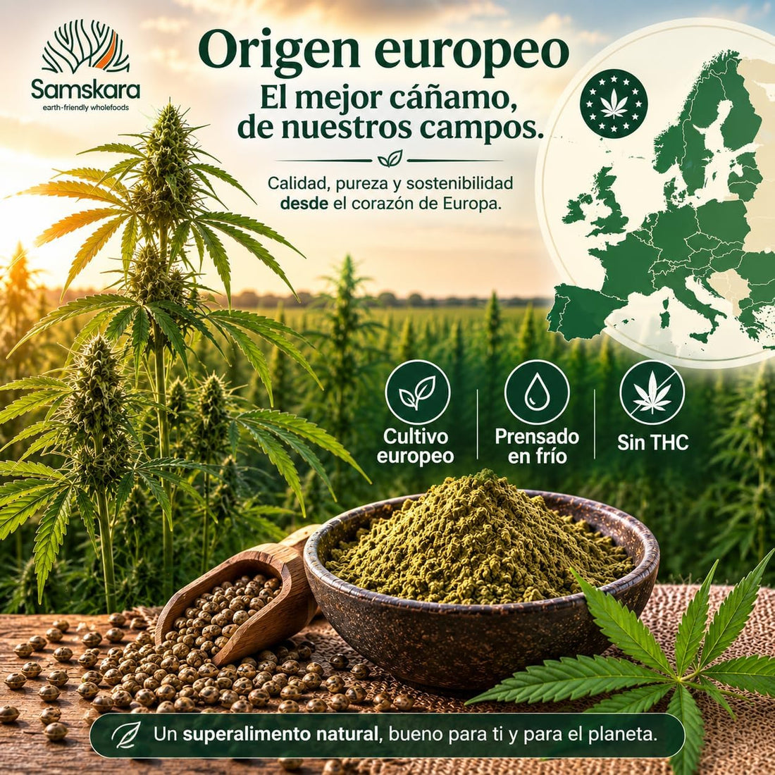 Organic Hemp Protein - 500g