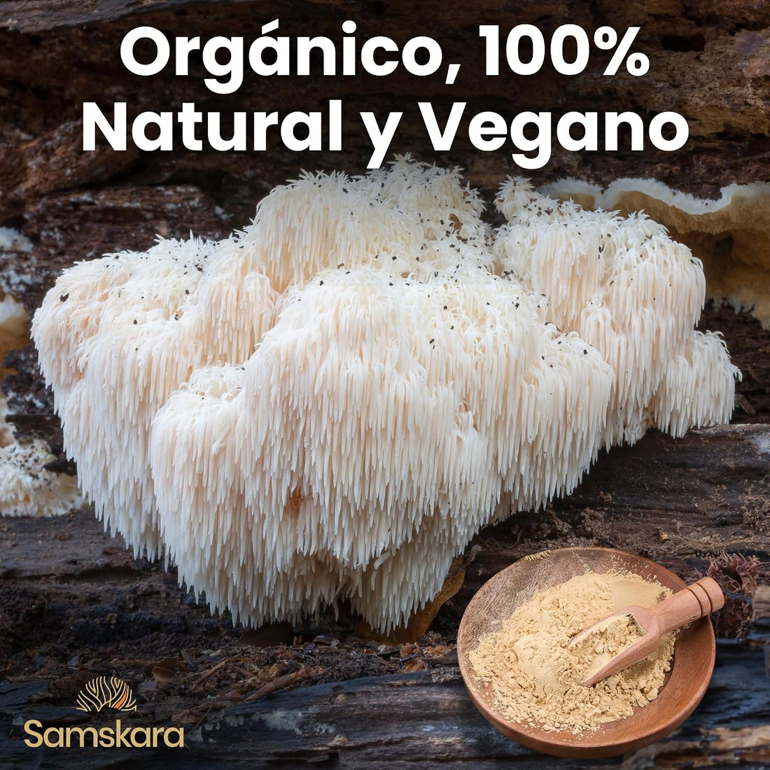 Organic 7 Medicinal Mushroom Complex - 100g