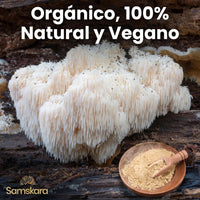 Organic 7 Medicinal Mushroom Complex - 100g