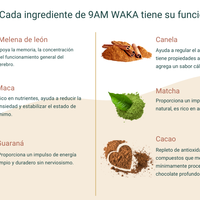 Waka 9 A.M BIO – 160 g | Empieza el Día con tu Latte Superfood | Melena de León, Matcha y Cafeína Natural | Samskara