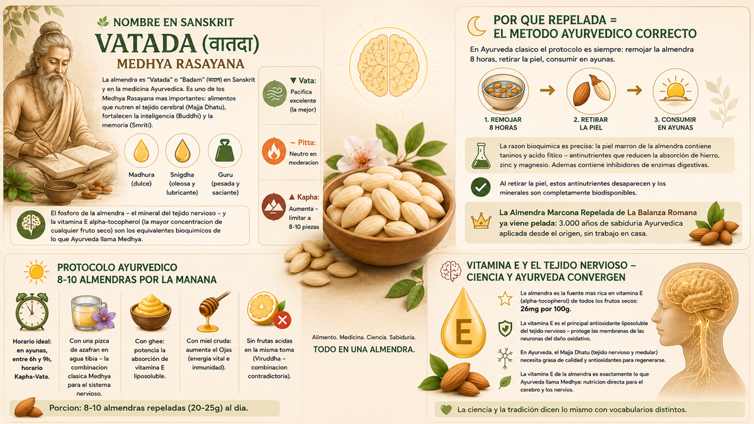 Queen Marcona Blanched Almonds - Vacuum-Packed