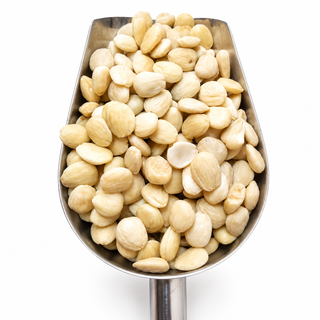 Queen Marcona Blanched Almonds - Vacuum-Packed