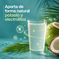 Samskara Agua de Coco en Polvo Ecológica | 250g | Secada por Atomización, 100% Pura, Polvo de Agua de Coco Ecológica de Sri Lanka, de Origen Vegetal y Vegana, para Smoothies, Bebidas y Recetas