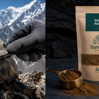 Shilajit Mumijo Resin - 100g