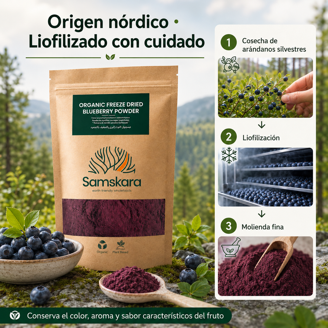 Arándano Nórdico en Polvo BIO – 150 g | Da Color y Sabor Real a tus Batidos | 100 % Arándanos Liofilizados | Samskara