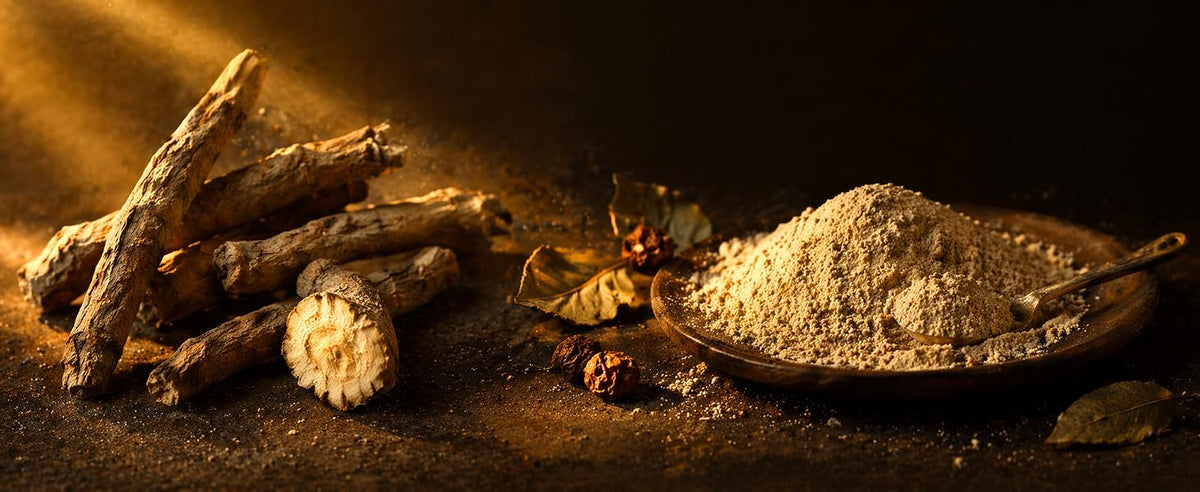 Raíz entera de ashwagandha molida según la tradición ayurvédica y tomada con leche caliente