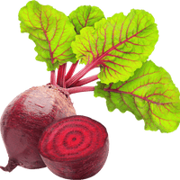 Organic Beetroot Powder - 250g