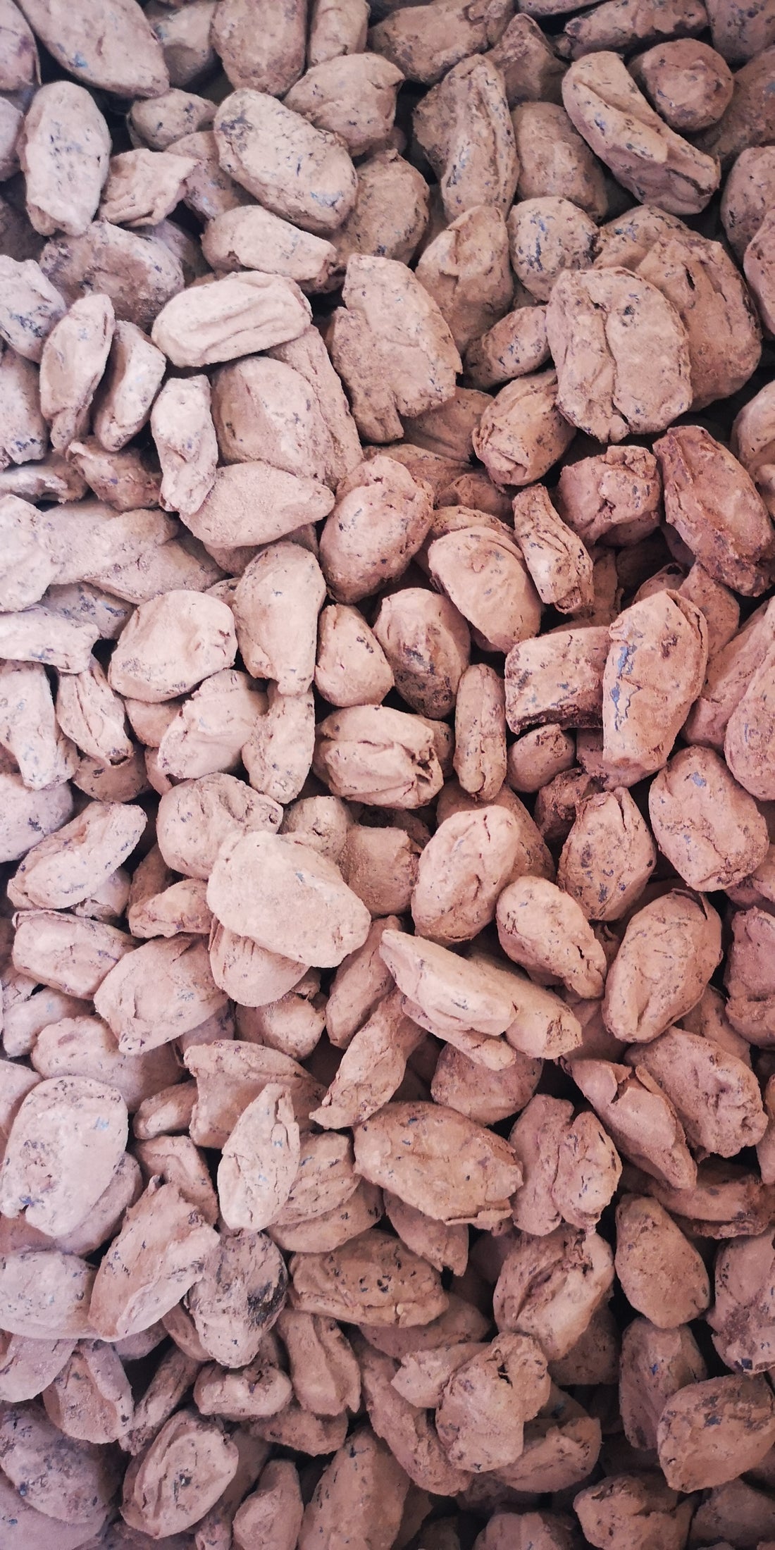 Organic Cocoa Dates - 500g