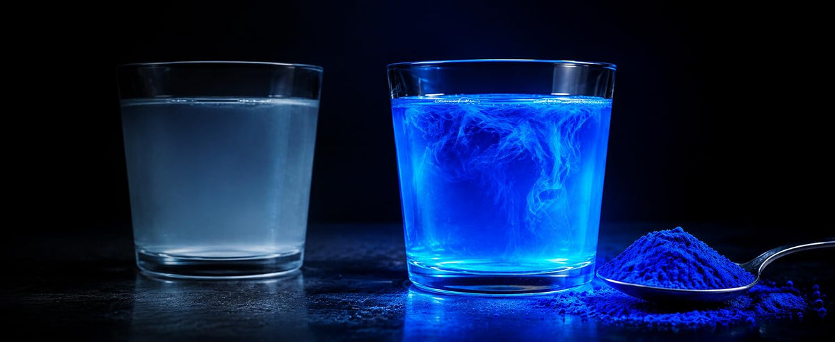 Dos vasos sobre fondo negro que comparan un azul tenue y un azul eléctrico de espirulina azul concentrada