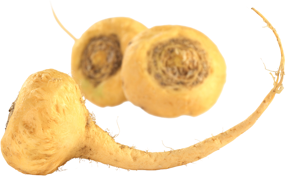 Hemp Macau (Hemp · Maca · Cacao) ORGANIC - 500g