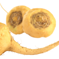 Hemp Macau (Hemp · Maca · Cacao) ORGANIC - 500g