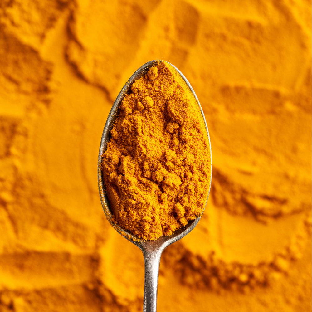 Cúrcuma en Polvo BIO - 500g