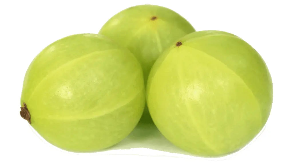 Amla (Grosella India) en Polvo BIO - 250g