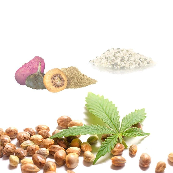 Hemp Macau (Cáñamo · Maca · Cacao) BIO - 250g