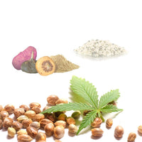 Hemp Macau (Cáñamo · Maca · Cacao) BIO - 250g