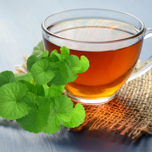 Brahmi en Polvo BIO - 100g
