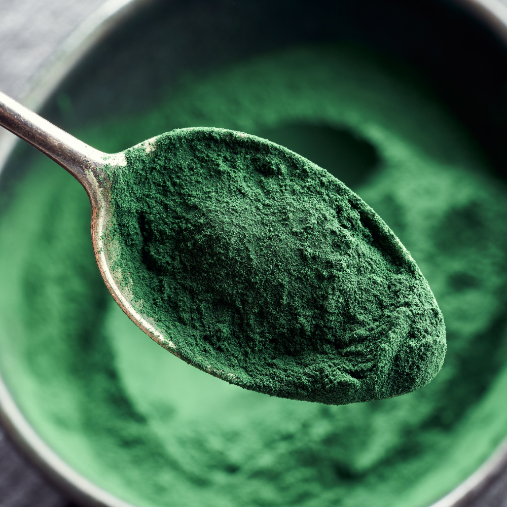 Espirulina en Polvo BIO - 250g