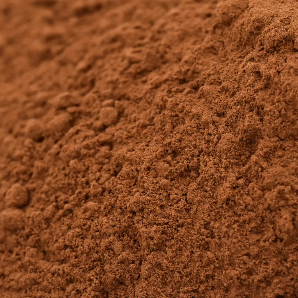 Reishi en Polvo BIO - 100g