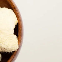 Melena de León en Polvo BIO - 100g