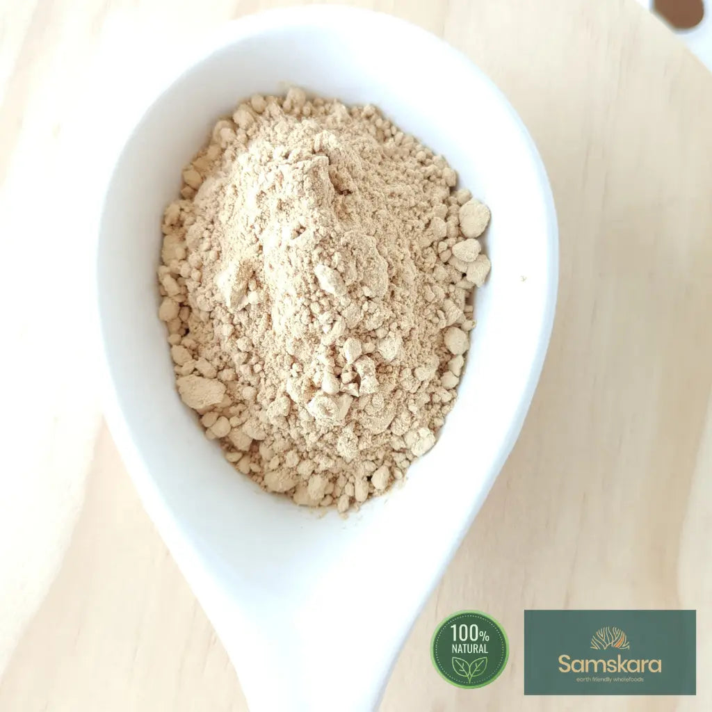 Melena de León en Polvo BIO - 100g