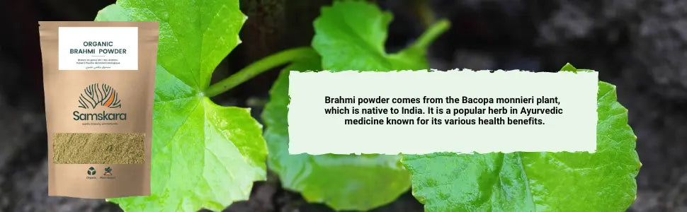 Brahmi en Polvo BIO - 100g