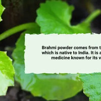 Brahmi en Polvo BIO - 100g