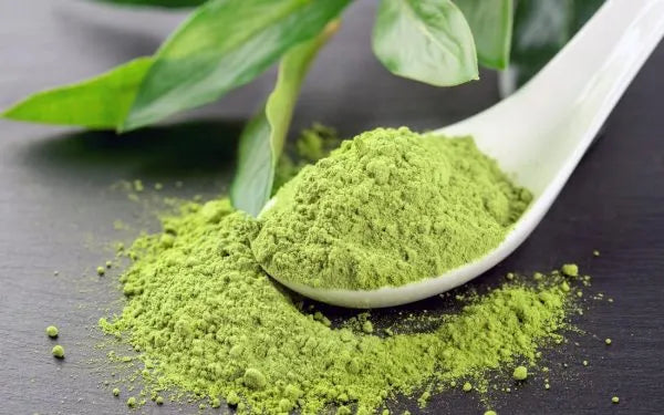 Matcha en Polvo BIO - 100g