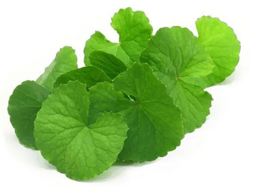 Brahmi en Polvo BIO - 100g